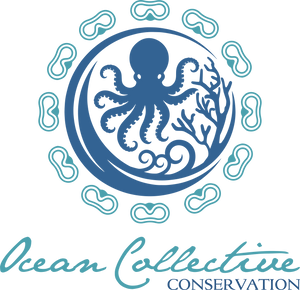 Partner logo 4